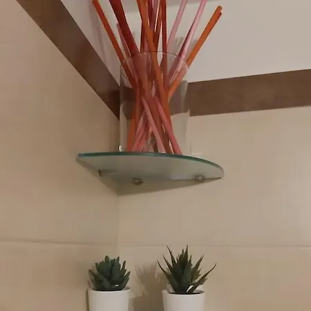Apartment Olimpia House - Station Bari